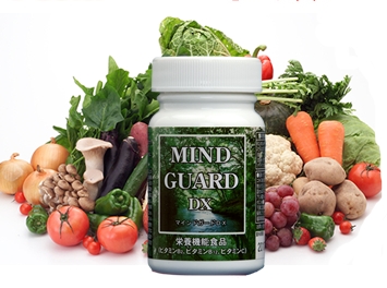 �}�C���h�K�[�hDX��